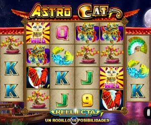 astro cat
