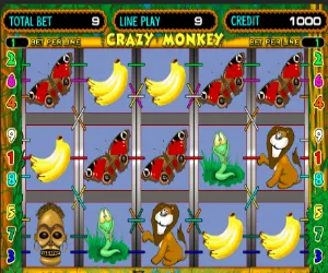 crazy monkey