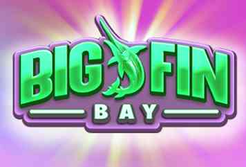 big fin bay