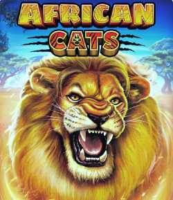african cats