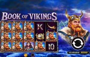 book of vikings