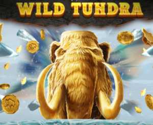 Wild Tundra