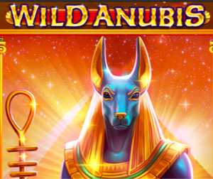 wild anubis