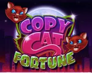 Copy Cat Fortune