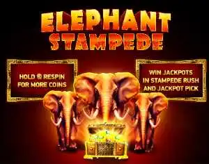 elephant stampede