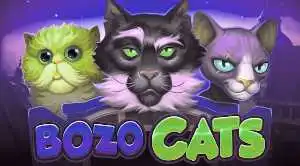 bozo cats