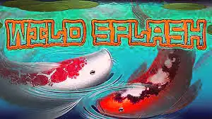wild splash aristocrat