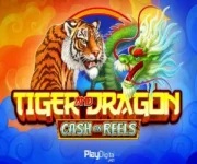 Tiger and Dragon - Cash on Reels