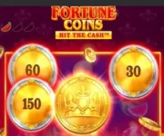 Fortune Coins