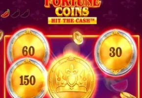 Fortune Coins
