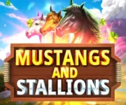 Mustang and Stallions