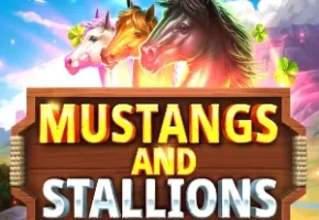 Mustang and Stallions