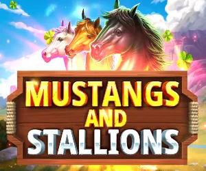 Mustang and Stallions