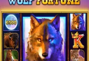 Wolf Fortune