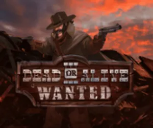 Dead or Alive 3 Wanted
