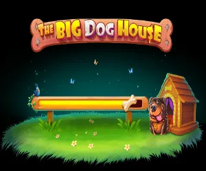 The Big Dog House